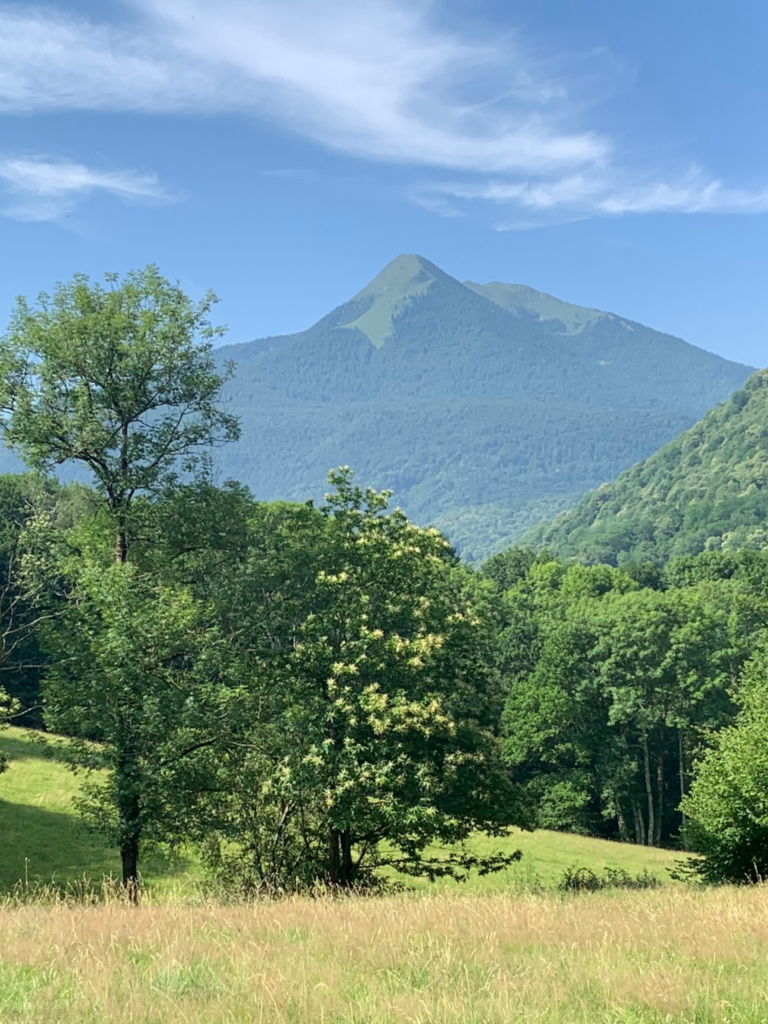 Les Pyrénées, mes racines